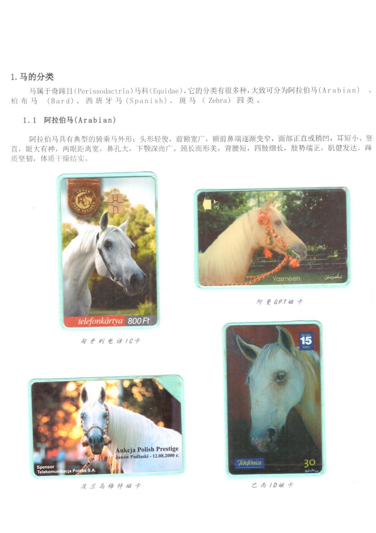 《说马》5框陶峰_103.jpg