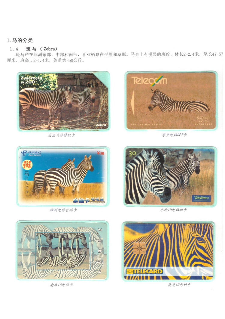 《说马》5框陶峰_108.jpg