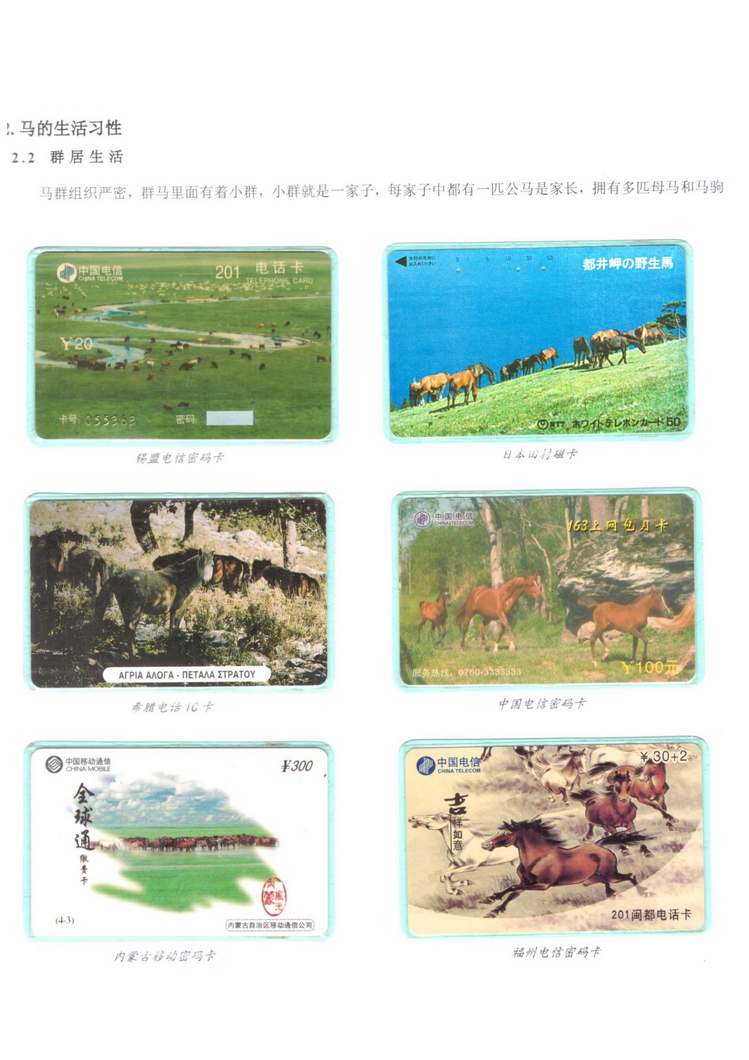《说马》5框陶峰_113.jpg