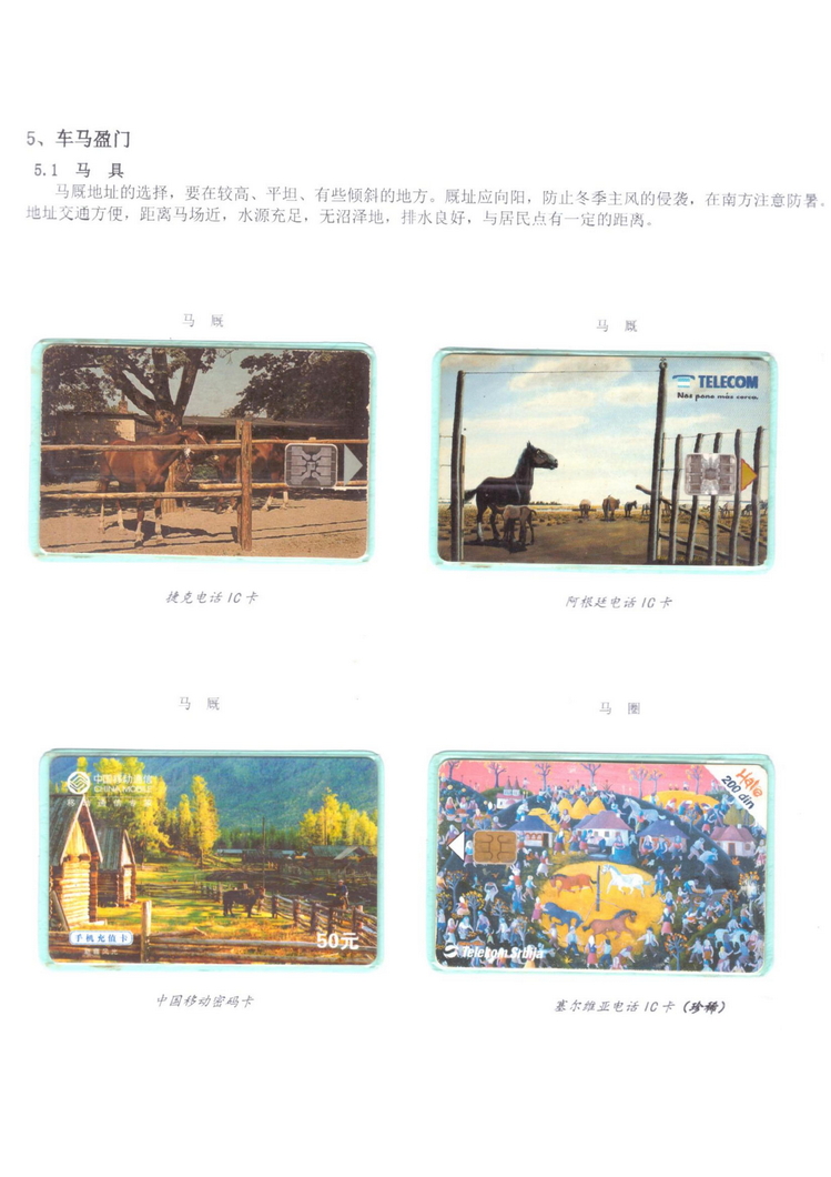 《说马》5框陶峰_405.jpg