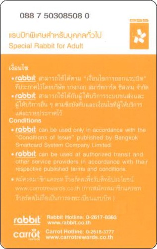 thailand-rabbit-2-1-2.jpg