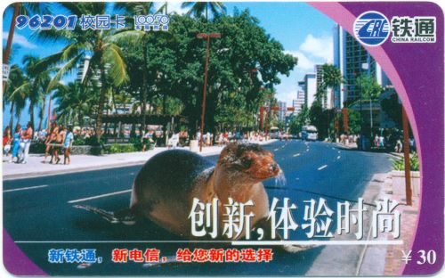 79.jpg