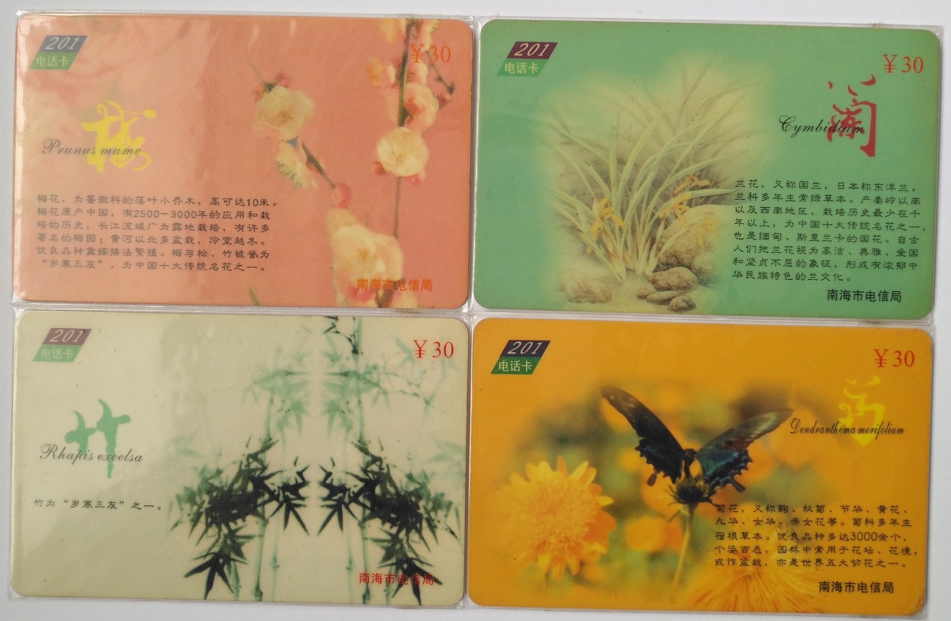 广东南海NH-2000-23.jpg