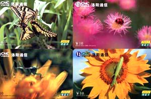 cccecca06e4c82192fb21bfc241a6d0d_gb-henan-b-06-11.jpg