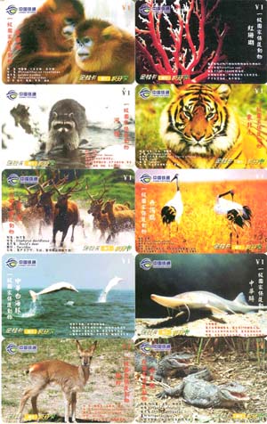 2d92d058b42888df790201fe3baad355_gb-guangxi-st22-3.jpg