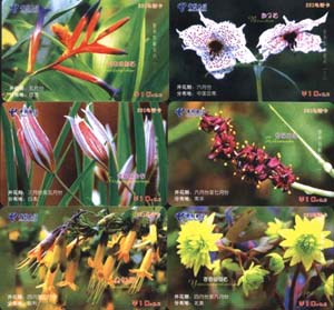 ece8f0daf0f9b3e4ef431a5c5ecab4cf_gb-guangxi-nnn-43.jpg