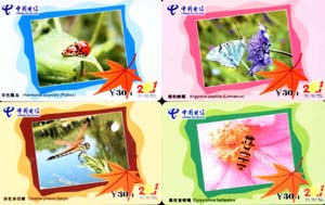 50c6ff49b869d45a7731a182e2849d52_gb-hubei-wind-12.jpg