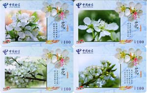 47a516136cfe8a18e22b0285dae59258_gb-hubei-wdcz-12.jpg