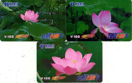 108c60d1b091d8003345d2ecf54601f0_gb-dhk-hbb-1%20006.jpg