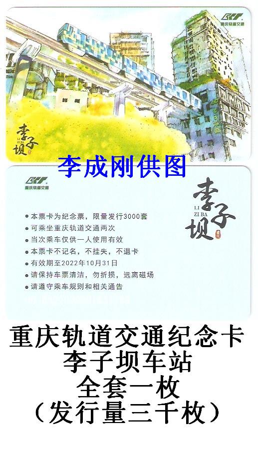 李子坝车站-20.jpg