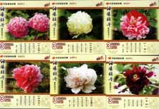 eeb89be0a6e0c6d422d99e4f793d554b_yhk20131118-8%20067.jpg